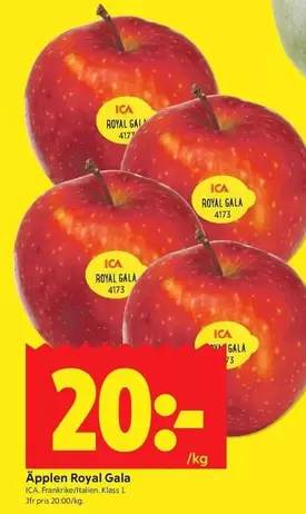 Äpplen Royal Gala