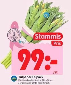 Tulpaner