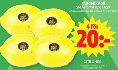 CITRONER