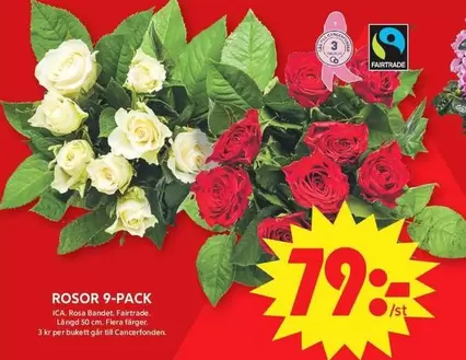 fairtrade - ROSOR 9-PACK