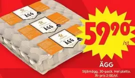 Stjärnägg - Ägg