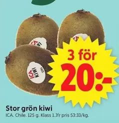 Stor grön kiwi
