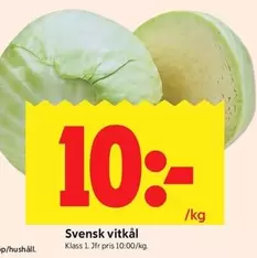Svensk vitkål Klass 1