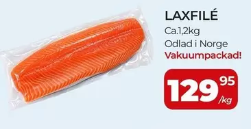 LAXFILÉ
