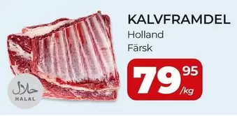 KALVFRAMDEL