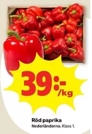 Röd paprika