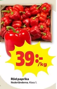 Röd paprika
