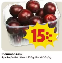 Plommon i ask