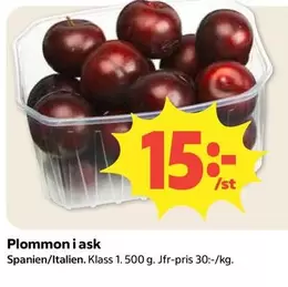 Plommon i ask