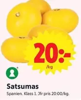 Satsumas