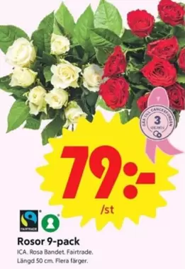 fairtrade - Rosor 9-pack