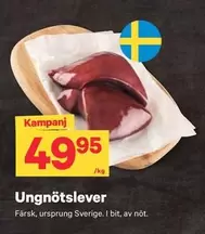 Ungnötslever