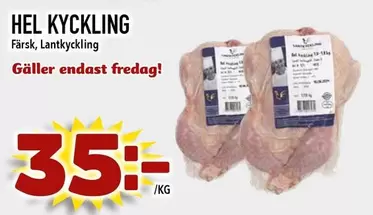HEL KYCKLING