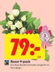 fairtrade - Rosor 9-pack