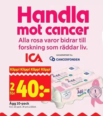 Ägg 10-pack