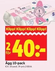 Ägg 10-pack