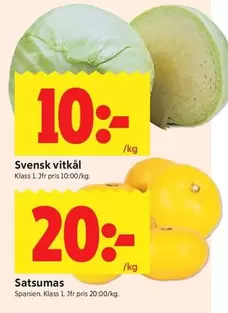 Svensk vitkål