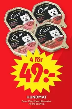 HUNDMAT