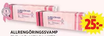 ALLRENGÖRINGS SVAMP