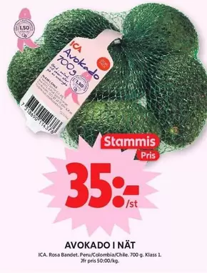 Avokado