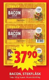 tulip - BACON