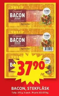 tulip - BACON