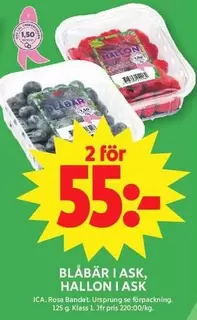 BLÅBÄR I ASK, HALLON I ASK