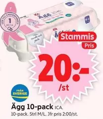 Ägg 10-pack