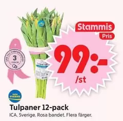 Tulpaner 12-pack