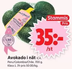 Avokado i nät