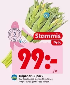 Tulpaner 12-pack