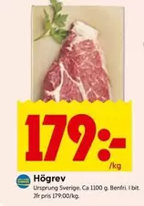 Högrev