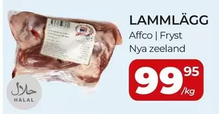 AFFCO - LAMMLÄGG