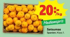Satsumas