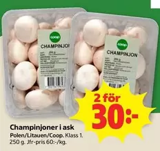 Coop - Champinjoner i ask