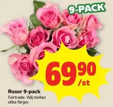 fairtrade - Rosor 9-pack
