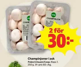 Coop - Champinjoner