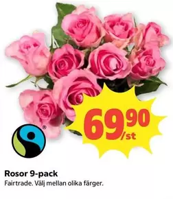 fairtrade - Rosor