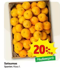 Satsumas