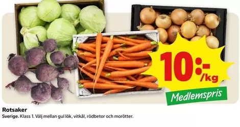 Rotsaker