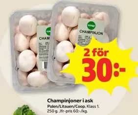 Coop - Champinjoner
