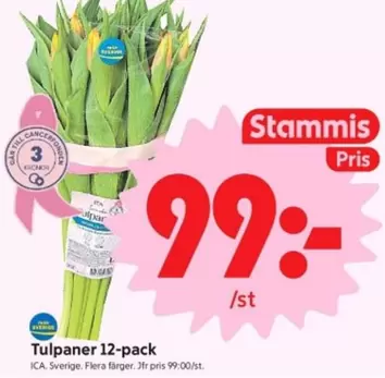 Tulpaner 12-pack