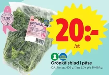 Grönkål