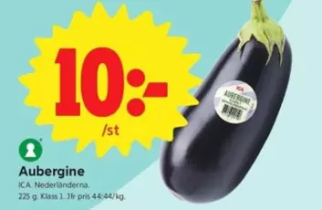 Aubergine