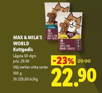 Kattgodis