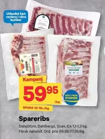 Scan - Spareribs