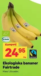 fairtrade - Ekologiska bananer