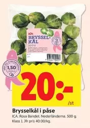 Brysselkål