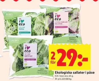 Ekologiska sallater i påse