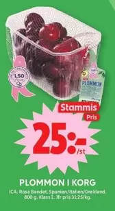 PLOMMON I KORG